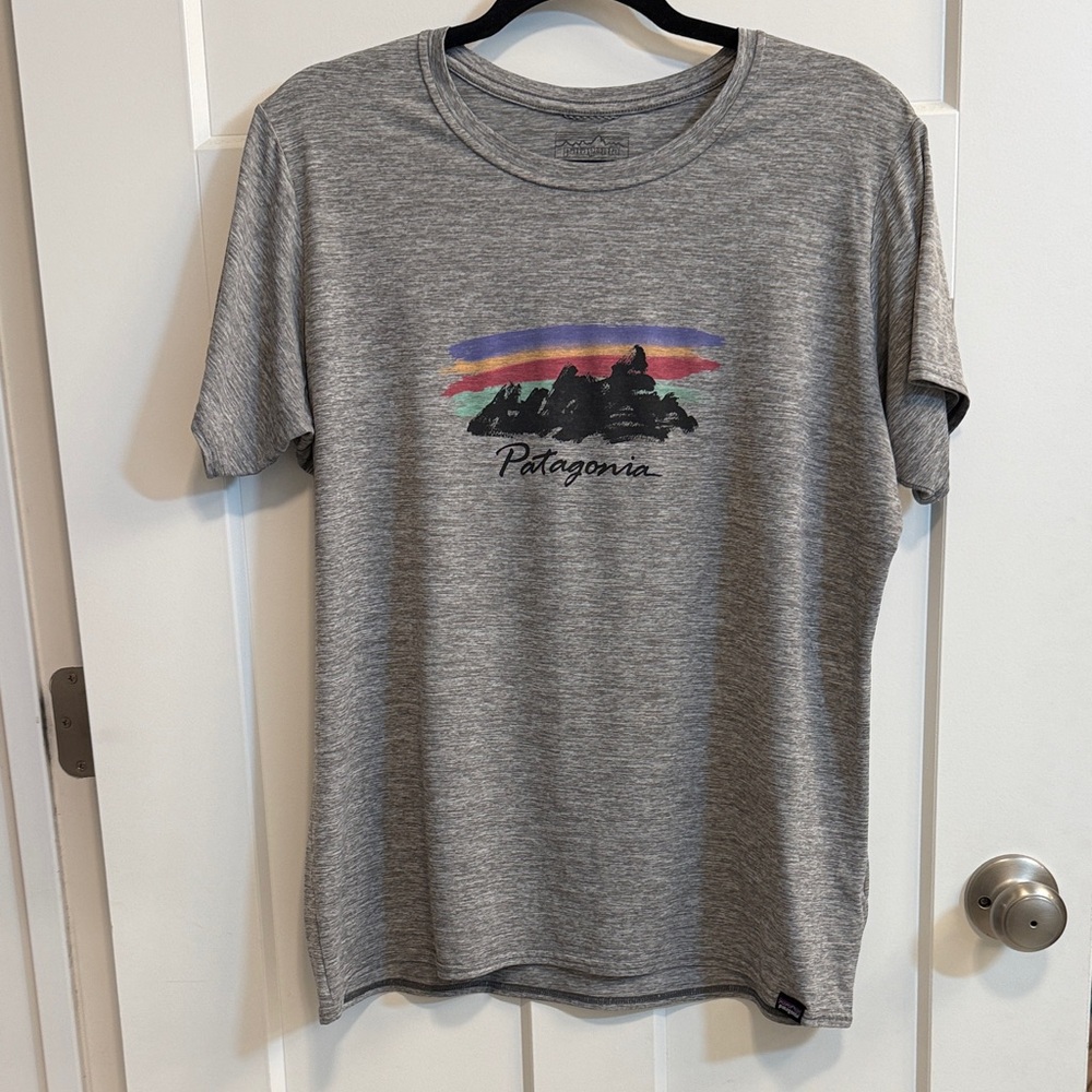 Patagonia Capeline Cool Daily Heather Gray Tee with Mountain Graphic